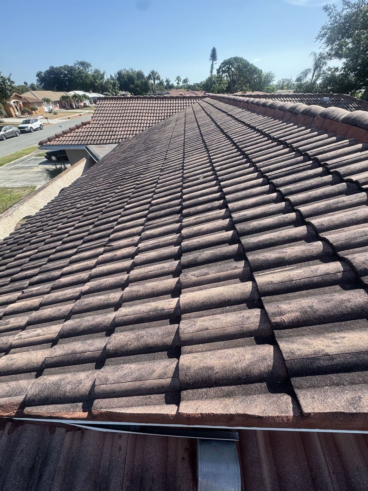 Barrel tile roof dulled to a grey-brown by weathering and algae before cleaning